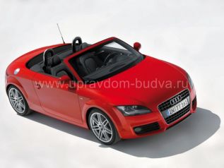 Позиция-301. Автомобиль Audi TT 2.0 TFSI