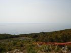 Земельный участок 5 000 кв.м., до моря 100 м, первая линия | Объект № 1047